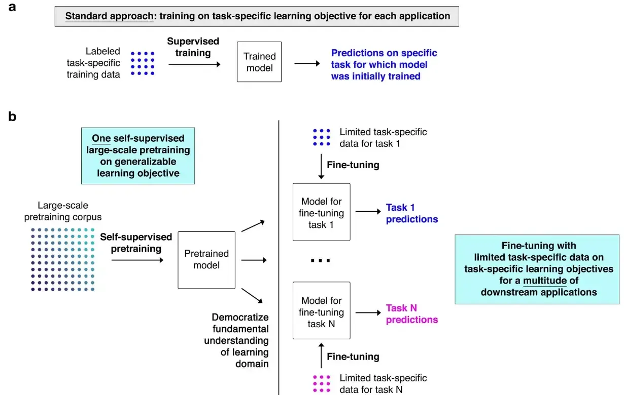 Geneformer_transfr_learng
