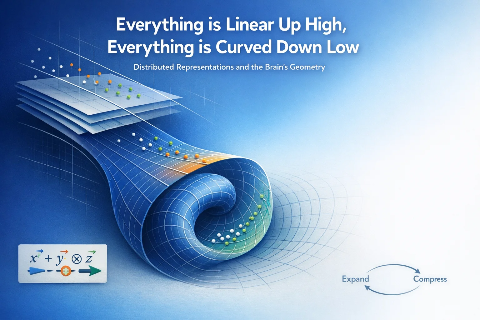 Everything is Linear Up High, Everything is Curved Down Low: Distributed Representations and the Brain's Geometry