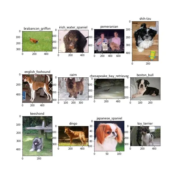 Data Analysis Image